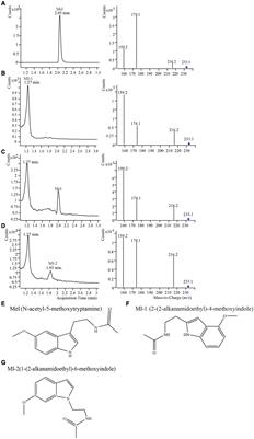 Molecular Mechanisms Underlying the Biosynthesis of Melatonin and Its Isomer in Mulberry